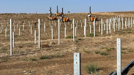 Polonezii de la R.Power au început construcția primului lor parc fotovoltaic din România