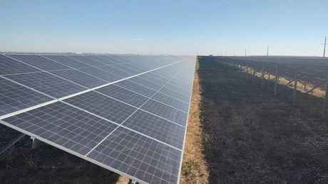 Brașovenii de la Allview construiesc un parc fotovoltaic de 25 mil. euro în Ialomița, care va ajunge la Petrom