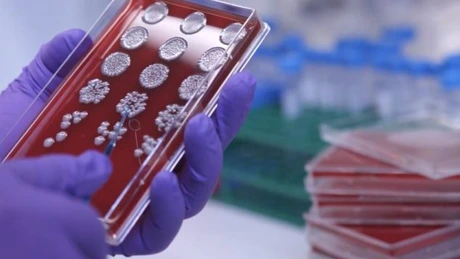 GlaxoSmithKline reduce masiv capitalul social ca etapă premergătoare închiderii firmei din România
