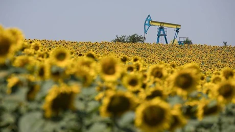 Producția de petrol și gaze a Petrom a scăzut și în al treilea trimestru din 2024