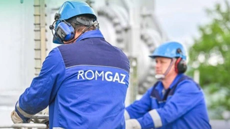Romgaz vrea să preia combinatul Azomureș