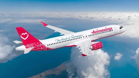 Animawings concurează TAROM cu prețuri de la 55 de euro pentru un bilet dus-întors pe ruta Cluj-Napoca-București