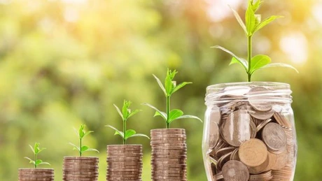 Producătorul de plasă BICO Industries va investi 7,6 milioane de euro într-o fabrică de material nețesut din fibră de sticlă