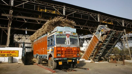 India va menține cota de un milion de tone pentru exporturile de zahăr în acest sezon, datorită stocurilor suficiente - surse Bloomberg