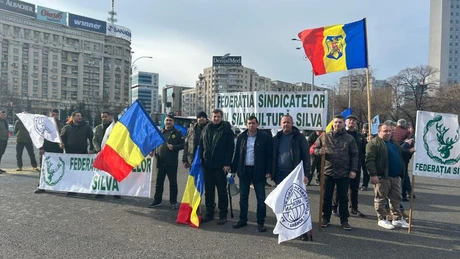 Federaţia Sindicatelor Silva va organiza miercuri o grevă de avertisment împotriva proiectului ministrului Fechet de reorganizare a Romsilva, despre care spun că va distruge sectorul