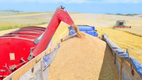 Criza grâului - Cererea globală va fi afectată de recoltele locale şi problemele economice (analiză Reuters)