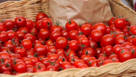 Marea Britanie prelungeşte, din nou, facilităţile pentru vizele acordate muncitorilor sezonieri din agricultură