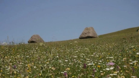 Cod galben de vânt duminică în Moldova, Dobrogea, estul Munteniei, Banat și Carpații Meridionali (Hartă)