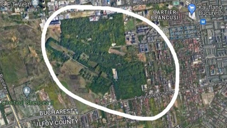 Un nou mare parc în Bucureşti, aşteptat de zeci de mii de oameni. Unde vor autorităţile să-l construiască