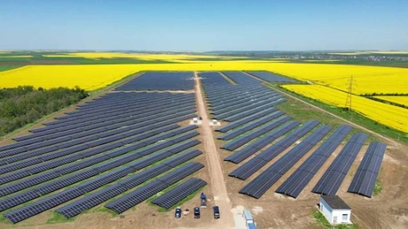 WALDEVAR Energy și Prime Batteries fac un parc fotovoltaic de 23 MW, cu stocare, pentru Alive Capital