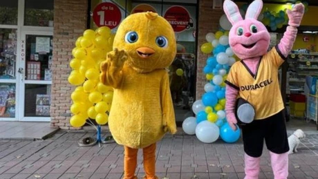 Anunţ de la noile magazine cu produse la 1 leu - Ce pregătesc cei de la Aurora Multimarket