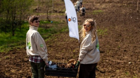 Promisiunea glo prinde rădăcini cu fiecare copac plantat! Peste 23.000 de copaci plantați în județele Buzău și Călărași, în cadrul campaniei 