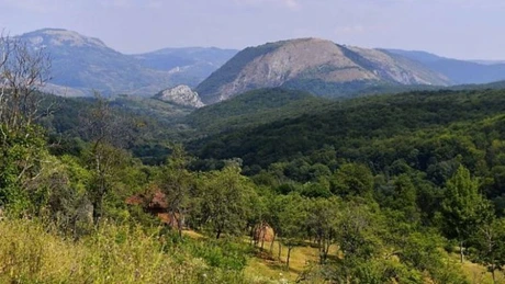 76,3% dintre gospodăriile din România, aflate în forme extreme de sărăcie energetică, sunt în mediul rural - raport ORSE