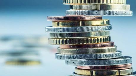 Companiile au doar 7 zile pentru a transmite datele financiar-contabile, un interval foarte scurt - EY România