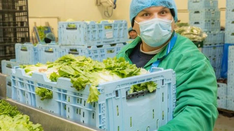 Polonezii de la Green Factory anunță achiziția Eisberg România și Eisberg Ungaria