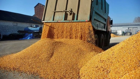 Cifra de afaceri din comerţul angro, în scădere în primul semestru. Ce sectoare au înregistrat cel mai mare declin
