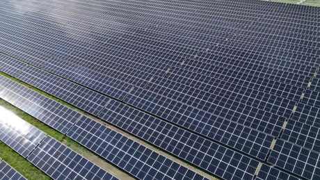 Hidroelectrica vrea să cumpere un parc fotovoltaic mare, de 250 MW, aflat la stadiul de proiect. Caută consultant