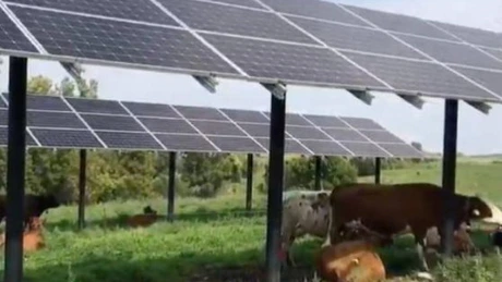 Primăria Turceni ia un împrumut de 380 de milioane de euro de la BEI pentru construirea de proiecte fotovoltaice pe sute de hectare de teren