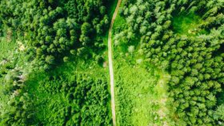 Protocol între Municipalitate şi o fundaţie pentru Centura Verde a Bucureștiului