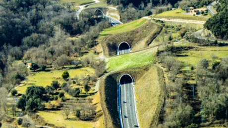 Autostrada Brașov - Făgăraș va avea 50 km, 46 de poduri, două tuneluri cut&cover și un ecoduct. Investiția sare de 10 miliarde de lei - document Mediu