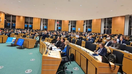 Fermele românești au pierderi anuale de aproximativ 200 milioane euro din cauza dăunătorilor. Fermierii cer din nou aprobarea UE pentru a folosi tratamente pe bază de neonicotinoide