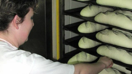 România este aproape de un blocaj pe piaţa formării profesionale - avertisment Sindalimenta