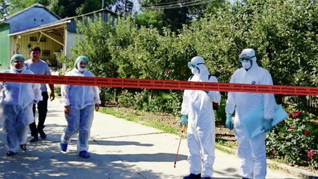 Alertă epidemiologică în România - Pesta porcină, confirmată la o fermă din Arad cu aproximativ 6.000 de animale. 700 vor fi ucise în primă fază