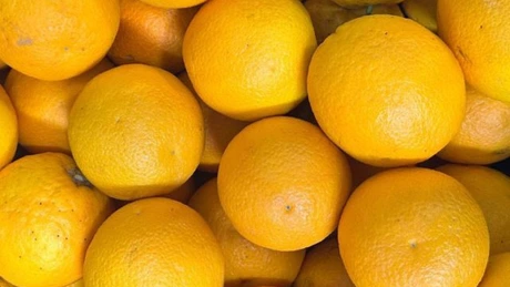 Cum ar trebui să arate lămâile și portocalele ca să merite să le cumpărăm din magazin. Declarație interesantă a șefului ANPC, nimeni nu s-ar fi gândit