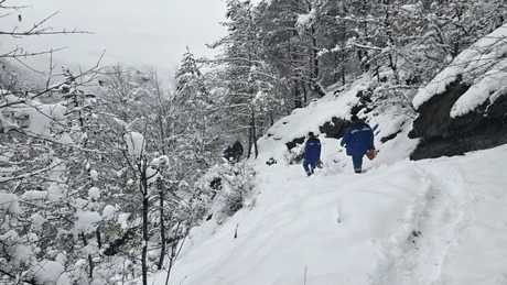 DEER a finalizat intervenția pentru remedierea avariilor la rețelele electrice din Munții Apuseni