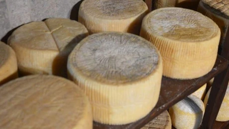 Cele mai bune 100 de brânzeturi din lume. Una este din România. Cine o produce