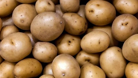 Rămâne România fără cartofi? Record negativ la producție pentru al doilea an la rând. Fermierii au recoltat de trei ori mai puțin decât acum 15 ani