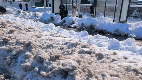 Poliția Locală a dat vineri amenzi 205.000 de lei companiilor de salubritate din București, pentru străzi, trotuare, staţii STB şi treceri de pietoni nedeszăpezite