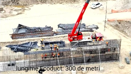 VIDEO Autostrada Sibiu - Pitești: Ecoduct spectaculos pe Valea Oltului. Unde va fi construit unul dintre cele mai mari 