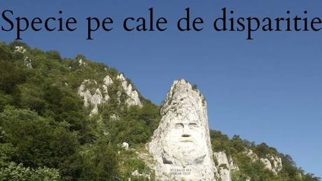 34 de ani de colaps pentru populaţia României - Criza demografică se adânceşte. Sporul natural s-a menţinut negativ în ianuarie, decesele au fost de două ori mai numeroase decât naşterile (date INS)