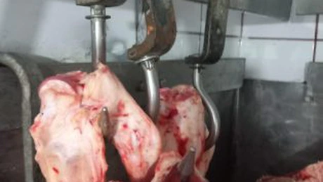 ANPC a verificat peste 1.000 de operatori economici în intervalul 6-9 aprilie. Instituția a dat 788 de amenzi