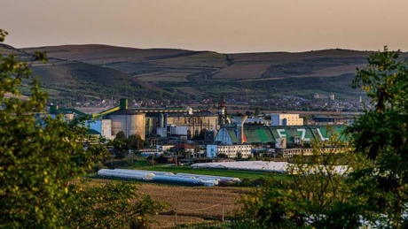 Ce afaceri a făcut anul trecut Zahăr Luduș, singura fabrica de zahăr controlată de antreprenori români