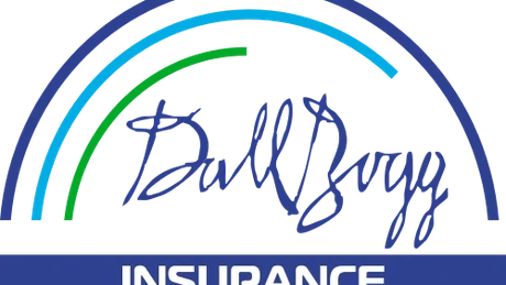 Ce spune Dallbogg, cu RCA vândut în România, despre interzicerea sa în Bulgaria și restul Europei