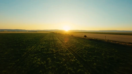 Gigantul PepsiCo schimbă modul în care fermierii români vor putea produce cartofii pentru Lay's
