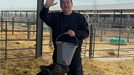 Fostul vicepremier Gabriel Oprea își investește milioanele într-o fermă de vaci a lui Gigi Nețoiu – Agrointeligența