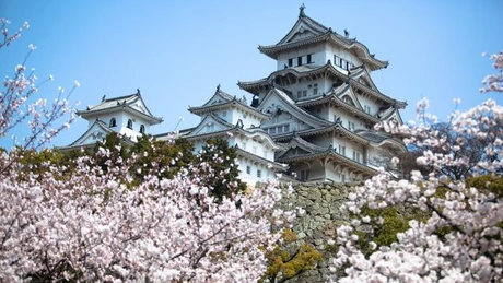 Tronul Crizantemei rămâne interzis femeilor - Japonia a revizuit legea succesiunii imperiale, dar interdicţia pentru femei rămâne. Când se va încheia linia imperială