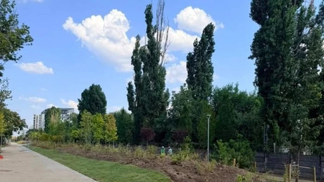 FOTO Cel mai lung parc liniar din Europa este în București: Faza 3, aproape de finalizare