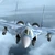 Criza Ucraina – Rusia continuă să transfere forţe aeropurtate şi avioane de luptă Su-35S din Extremul Orient în Belarus