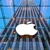 Apple a câștigat recursul împotriva deciziei autorității britanice de reglementare antitrust cu privire investigarea browserului său mobil și a servicilor sale de cloud