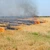 Octavian Berceanu: În șapte luni au fost arse de 10 ori mai multe hectare decât media anilor 2006 – 2021