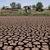 Secetă 2022 – Suprafaţa agricolă afectată  a depăşit 700.000 de hectare