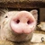 Cumpărăm carne de porc din Chile. România a devenit cel mai mare importator de carne congelată de porc din UE