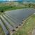 Israelienii de la Econergy, foarte aproape să deschidă încă un parc fotovoltaic în România