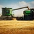 Eurostat: Comerțul cu produse agricole dintre statele UE și restul lumii a scăzut cu 3,2% în 2023