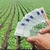Plăți pentru fermieri de 119 milioane de euro pentru finanțarea proiectelor de investiții în agricultură și pentru plățile directe