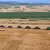 Pintea, Ministerul Agriculturii: Peste 2,39 miliarde de euro au intrat în conturile fermierilor, până astăzi